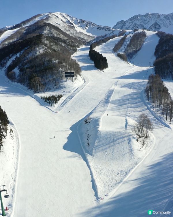 白馬滑雪勝地！🏔️⛷️極級粉雪體驗