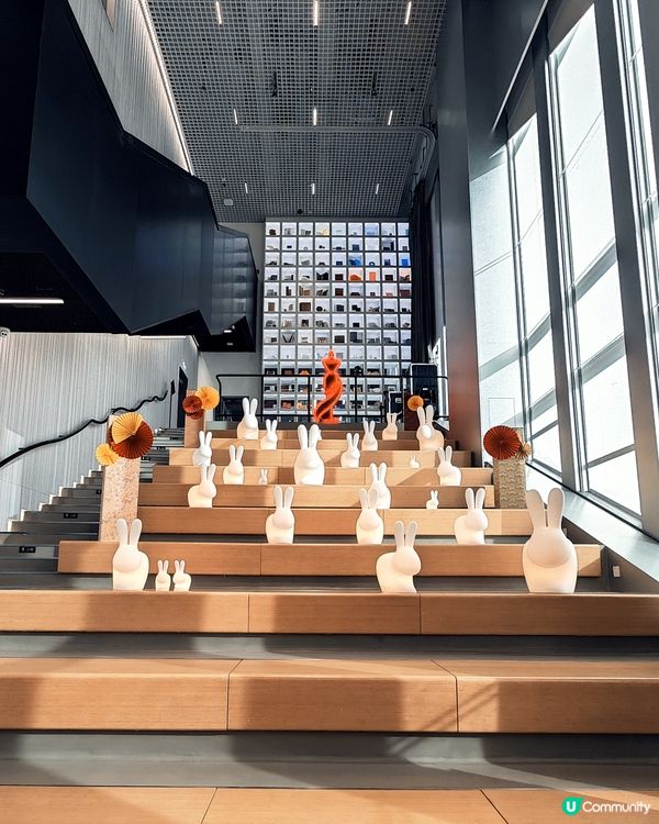 深水埗新地標！🤤 5層高潮到爆！📸