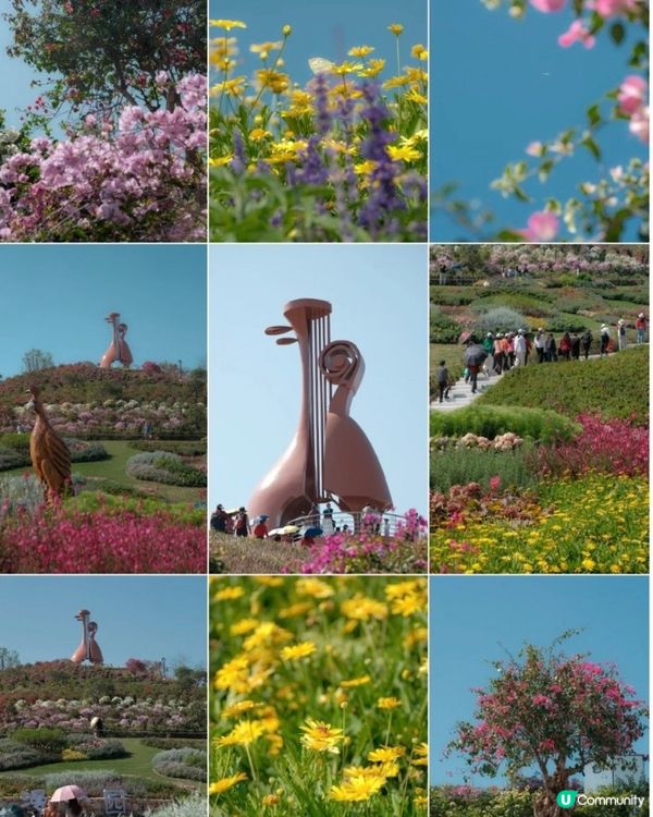 山花爛漫！平靚正深圳打卡公園 📸🌳