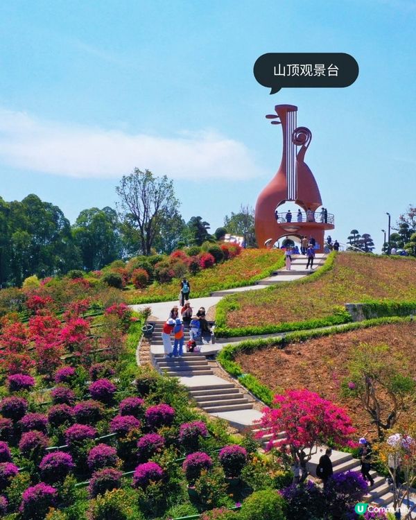 山花爛漫！平靚正深圳打卡公園 📸🌳