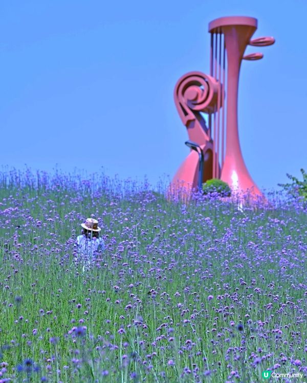山花爛漫！平靚正深圳打卡公園 📸🌳