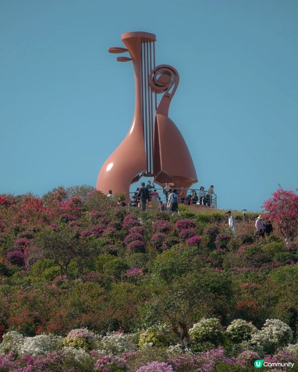山花爛漫！平靚正深圳打卡公園 📸🌳