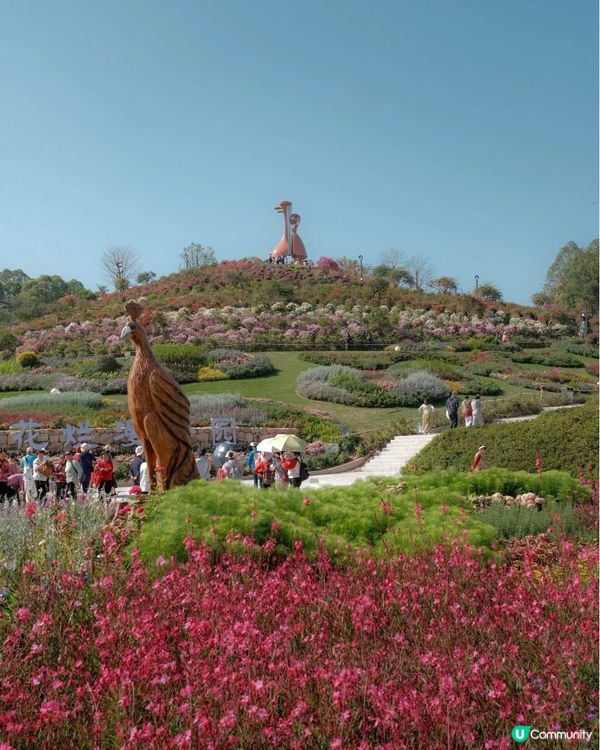 山花爛漫！平靚正深圳打卡公園 📸🌳