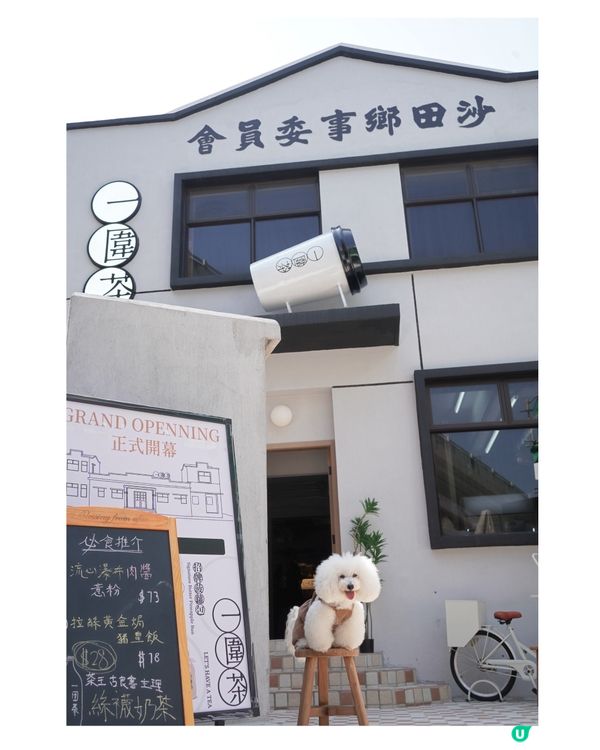 郷會圍茶歎奶茶🏡 | 尋味冰室味道😋
