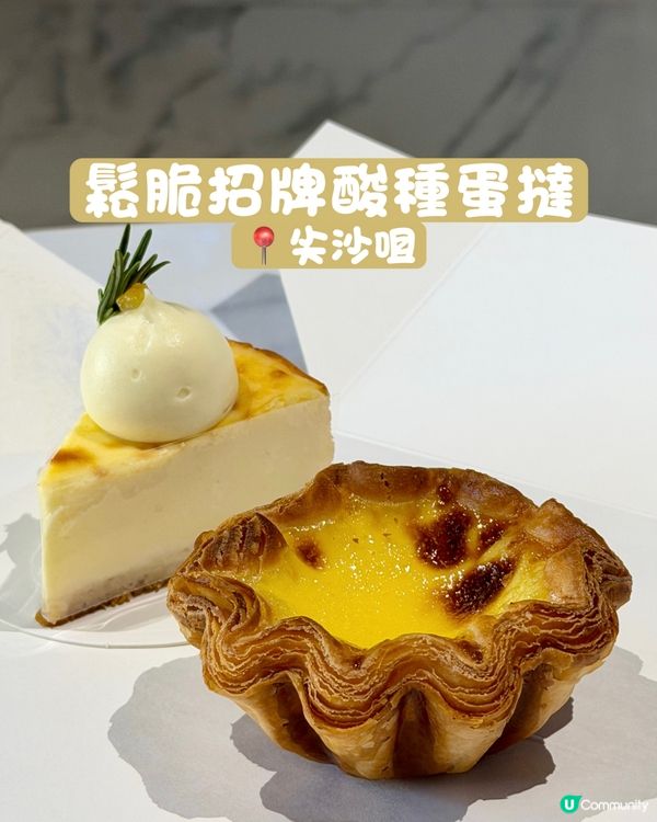 🍰千層酥皮酸種蛋撻