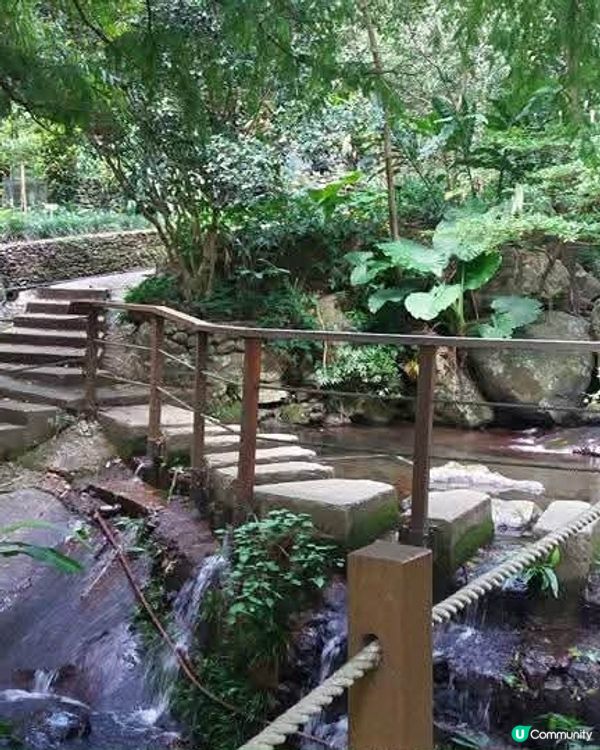 親子農場樂📸🌳