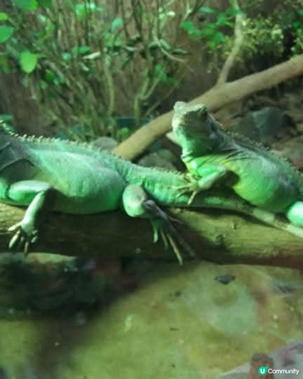 親子農場樂📸🌳