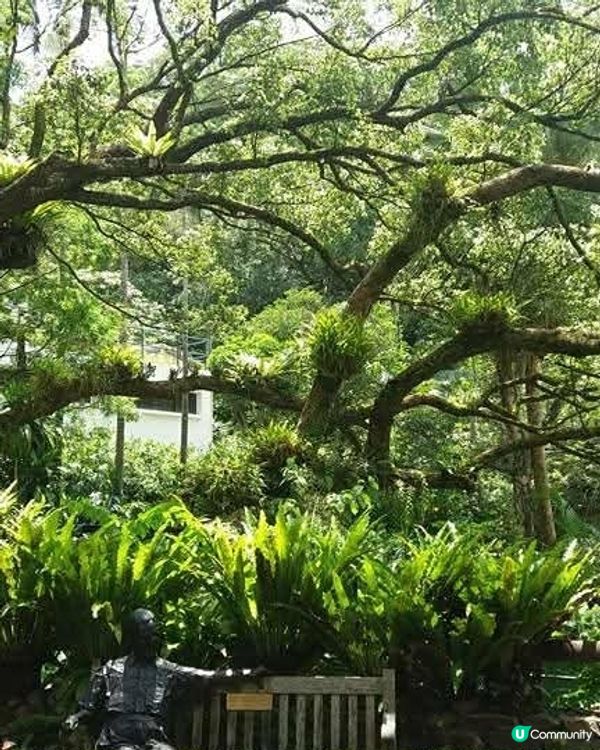 親子農場樂📸🌳