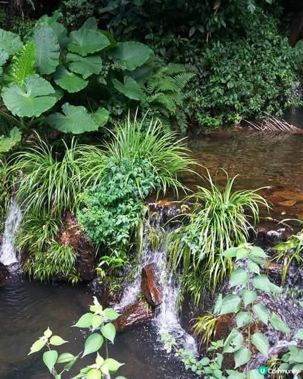 親子農場樂📸🌳