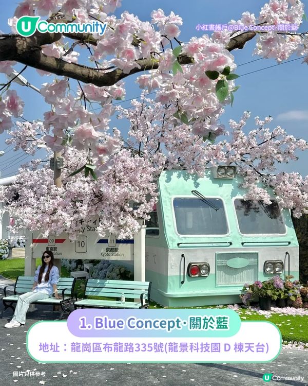 深圳必去8大絕美打卡Cafe🍀✨南法莊園/櫻花/懸崖海景主題