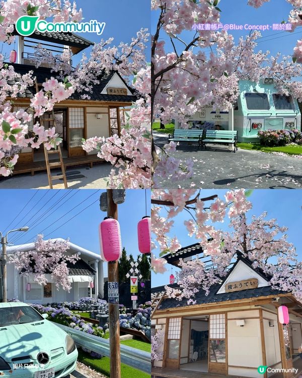 深圳必去8大絕美打卡Cafe🍀✨南法莊園/櫻花/懸崖海景主題