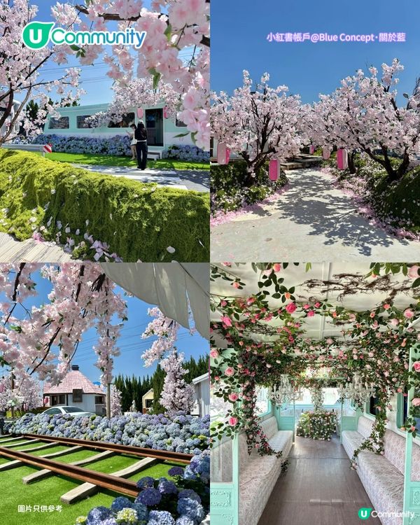 深圳必去8大絕美打卡Cafe🍀✨南法莊園/櫻花/懸崖海景主題