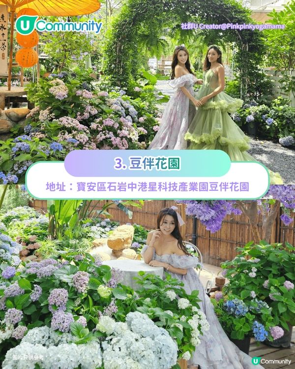 深圳必去8大絕美打卡Cafe🍀✨南法莊園/櫻花/懸崖海景主題