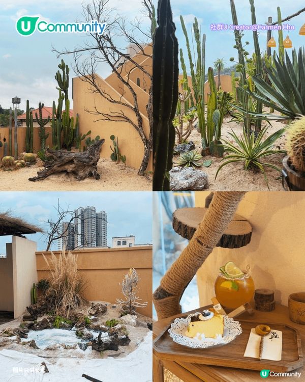 深圳必去8大絕美打卡Cafe🍀✨南法莊園/櫻花/懸崖海景主題