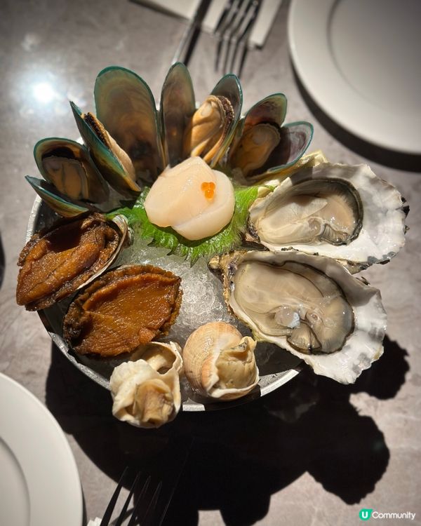 灣仔 The world is his Oyster 
