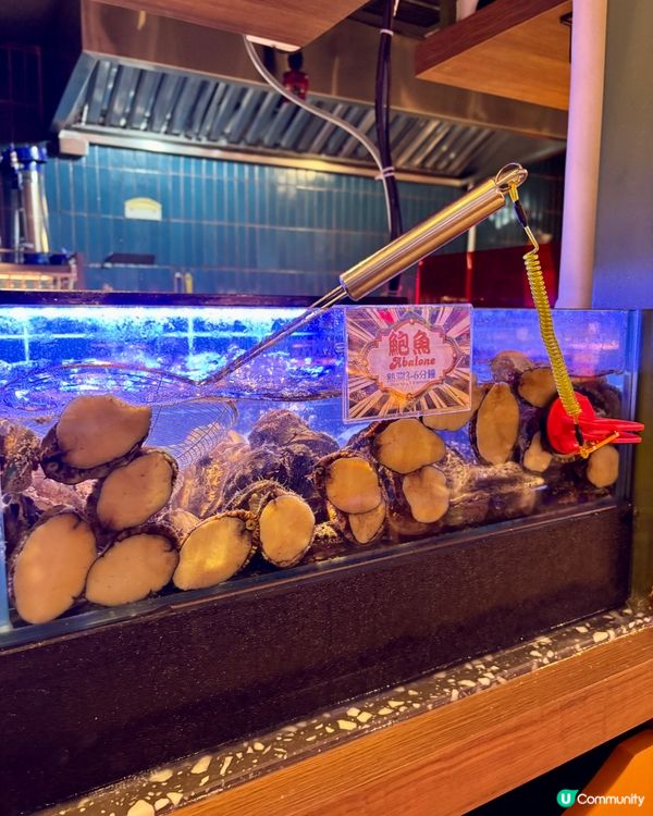 荃灣•生猛海鮮和牛套餐 海鮮和牛串燒樣樣齊