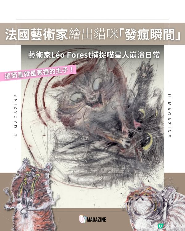 法國藝術家 Léo Forest 的「貓式崩潰」學                                    