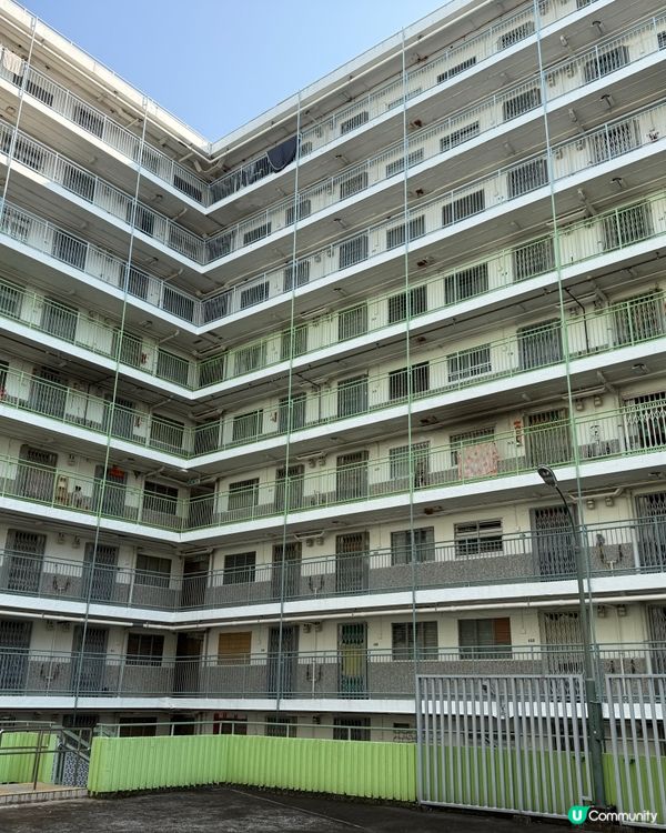 南山邨必食！😋🥢