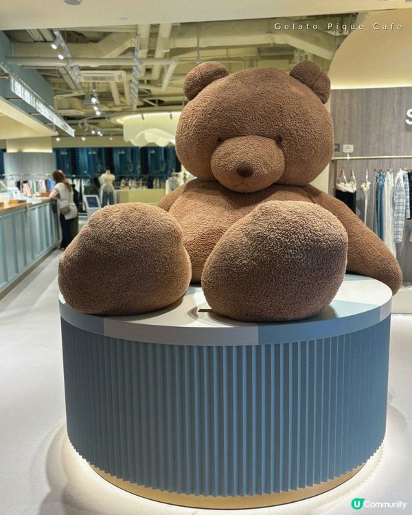 再訪可愛熊啤啤主題Cafe