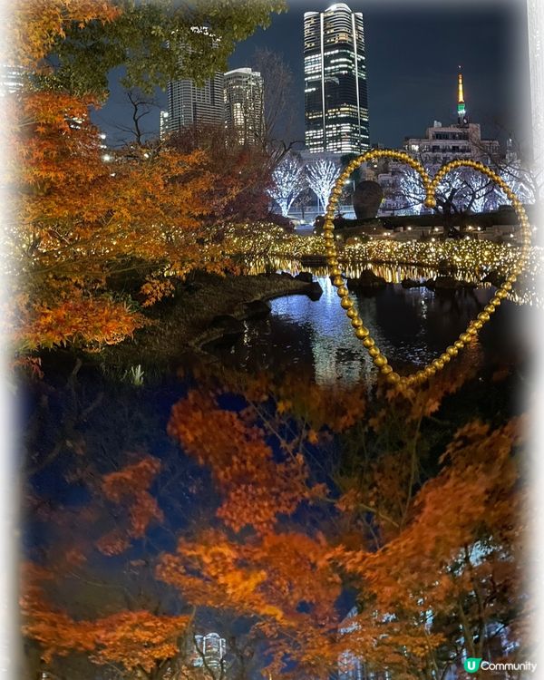 浪漫六本木秋楓夜 🍁📸