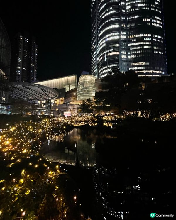 浪漫六本木秋楓夜 🍁📸