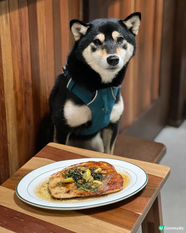 黃埔區最新美式木系cafe