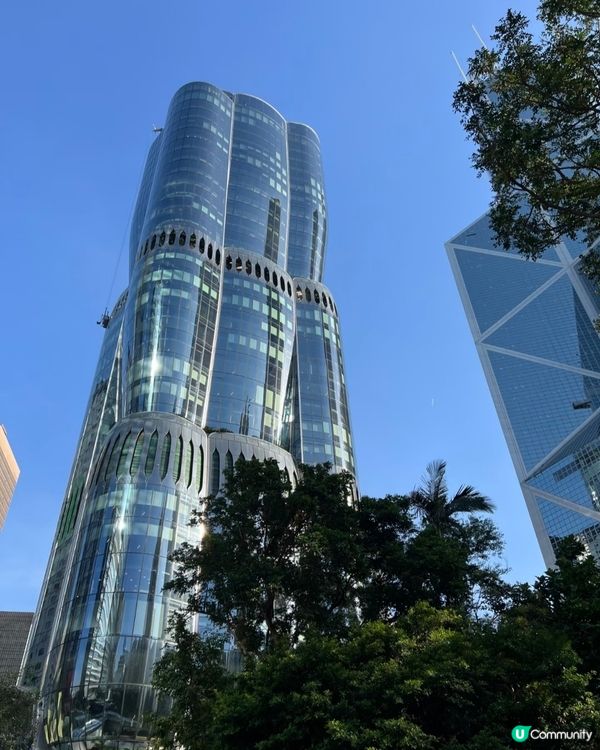 中環新地標🤩呢朵洋紫荊真係驚豔咗我！🌺