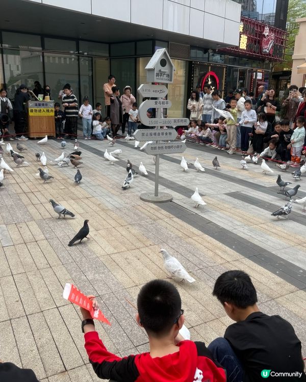 深圳人氣打卡景點：米蘭小鎮🏛️