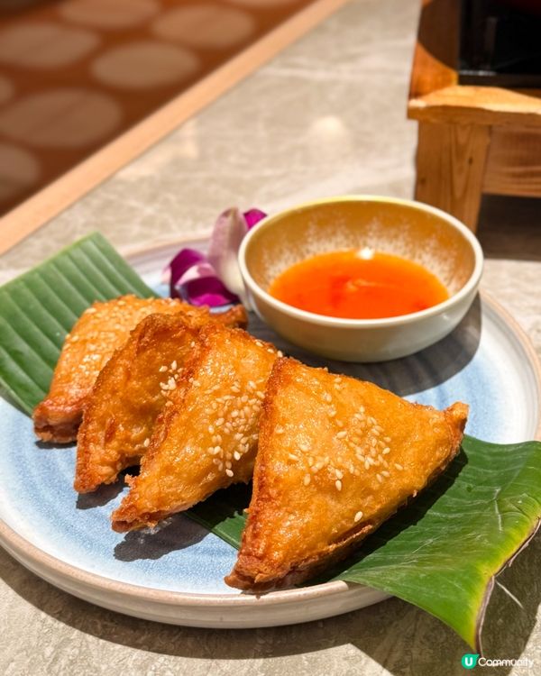 安娣瑪萊🌴
東