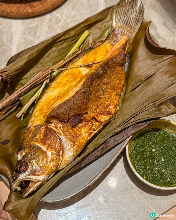 安娣瑪萊🌴
東