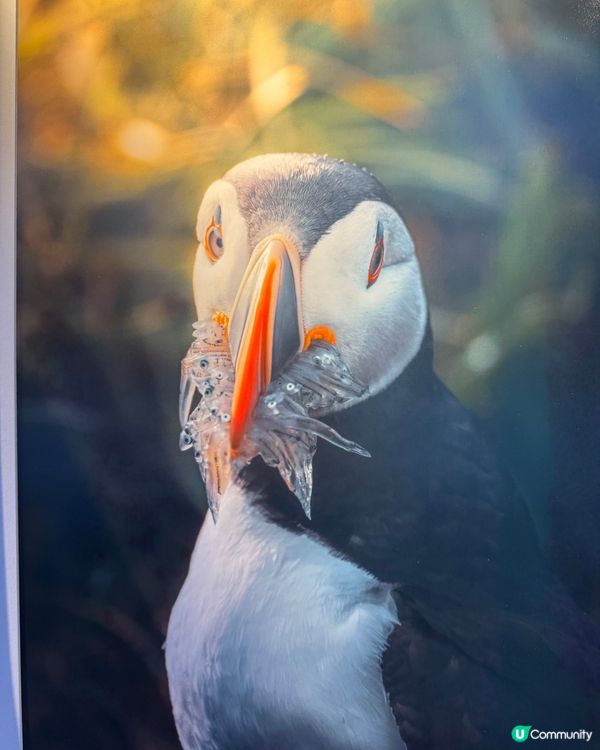 彷彿踏上另一個星球Outworldly 冰島故事 