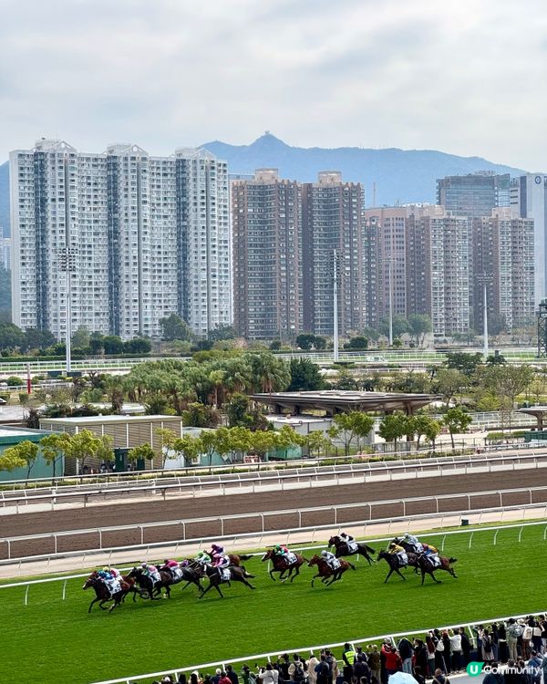 馬年去新馬場餐廳 一站式賽馬吃飯遊玩