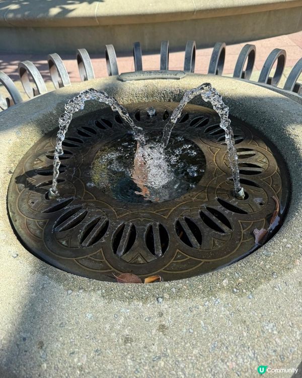 全新日間巡遊表演「迪士尼好友巡遊派對」