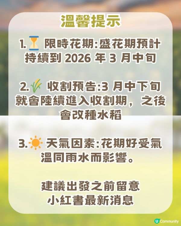 珠海隱世秘境生態園! 復古火車/草地露營/ 摘士多啤梨
