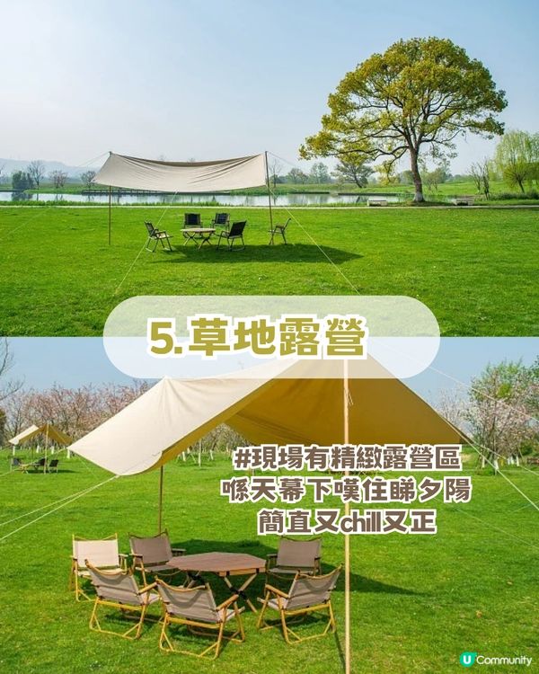 珠海隱世秘境生態園! 復古火車/草地露營/ 摘士多啤梨