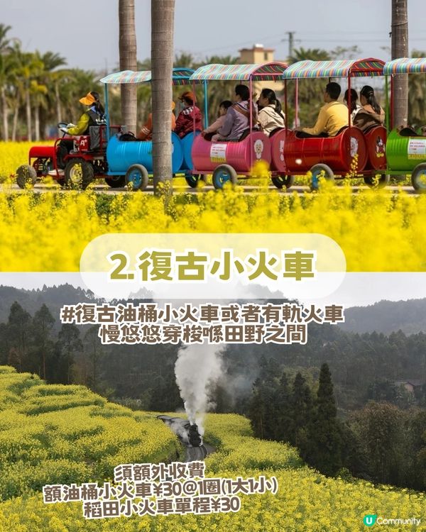 珠海隱世秘境生態園! 復古火車/草地露營/ 摘士多啤梨