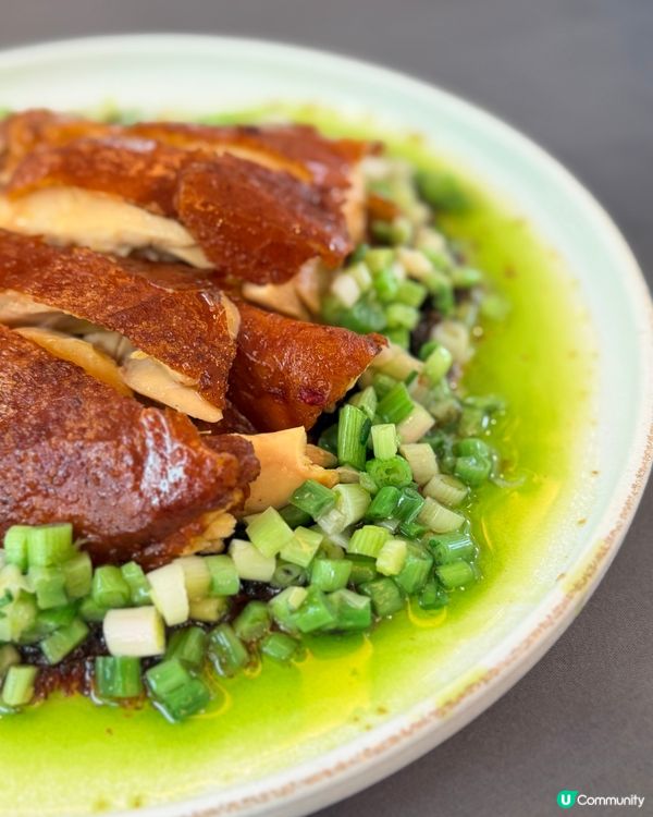 🍽️紅棉The Murray｜一飯封神豬扒飯😋