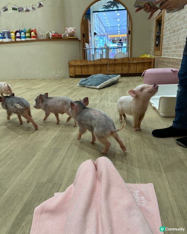 北海道親子之旅第六日