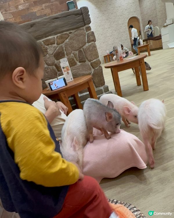 北海道親子之旅第六日