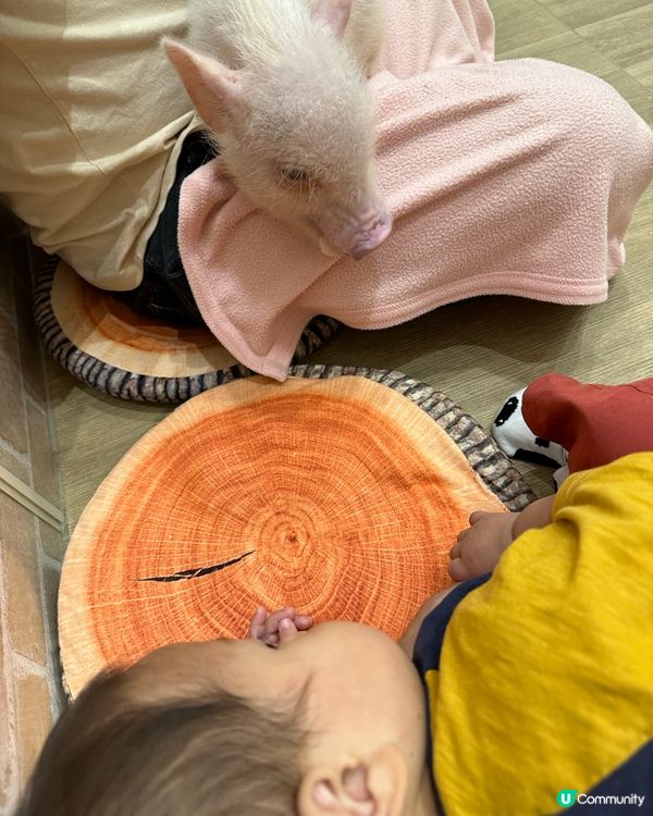 北海道親子之旅第六日