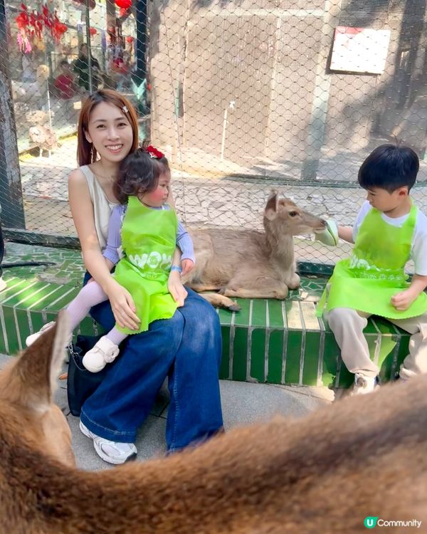 生日去深圳窩窩🐾小動物餵飼樂！🐹🥕
