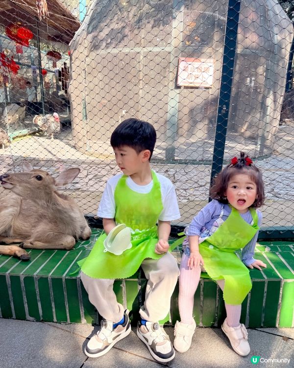 生日去深圳窩窩🐾小動物餵飼樂！🐹🥕