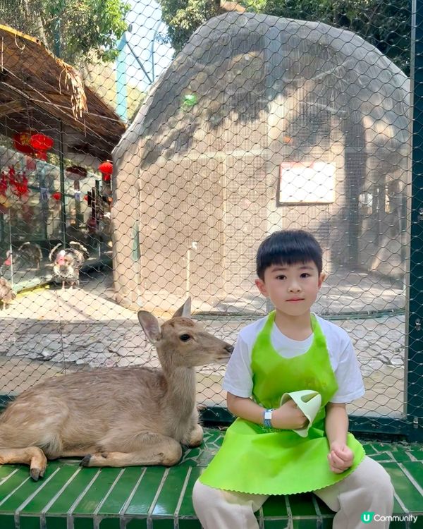 生日去深圳窩窩🐾小動物餵飼樂！🐹🥕