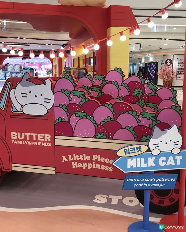 圍方超萌ButterFamily🐱🐰🐻📸！