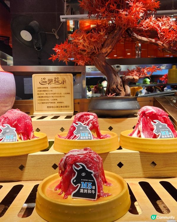 深圳食返餐！🥳🥢