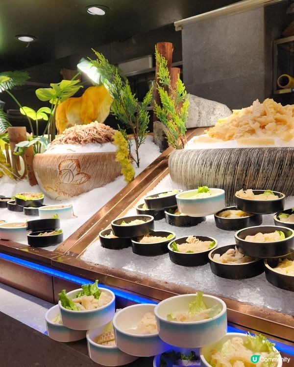 深圳食返餐！🥳🥢