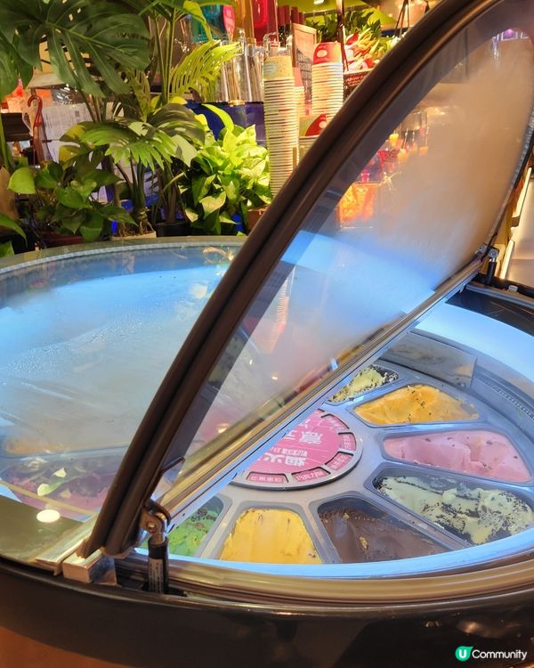 深圳食返餐！🥳🥢