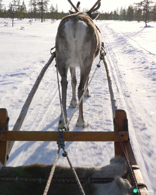 拉普蘭極光湖景 🇫🇮✨