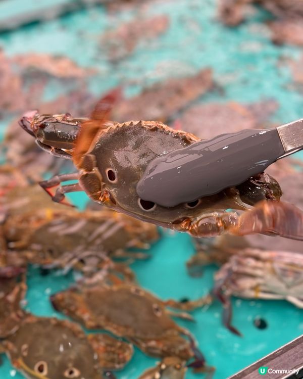 3百幾食海鮮bino放題 正