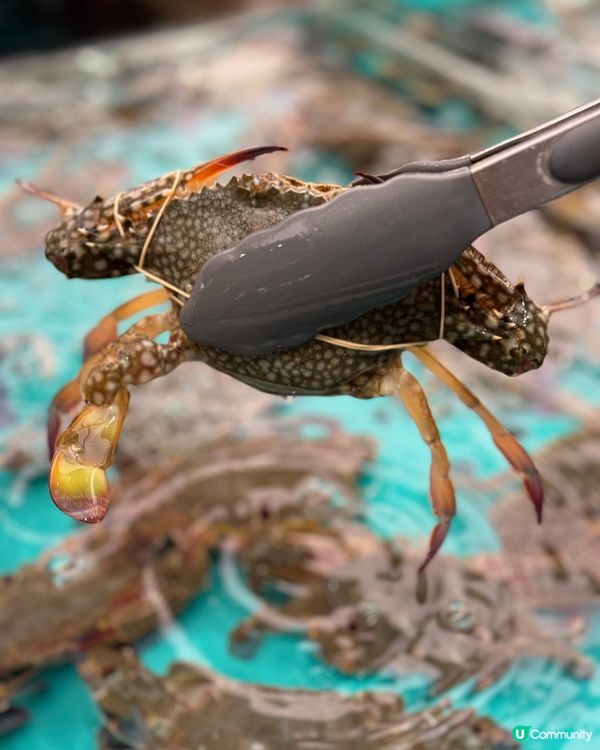 3百幾食海鮮bino放題 正